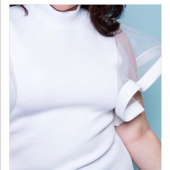 Plus Size Angel Exaggerated Sleeve Fashion Top - Picture 4 of 7